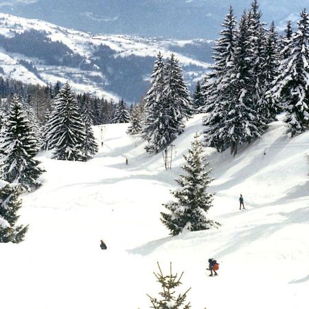Ayent Woodland Village Anzere מראה חיצוני תמונה