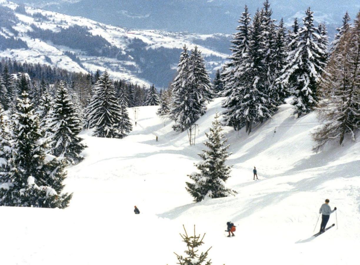 Ayent Woodland Village Anzere מראה חיצוני תמונה